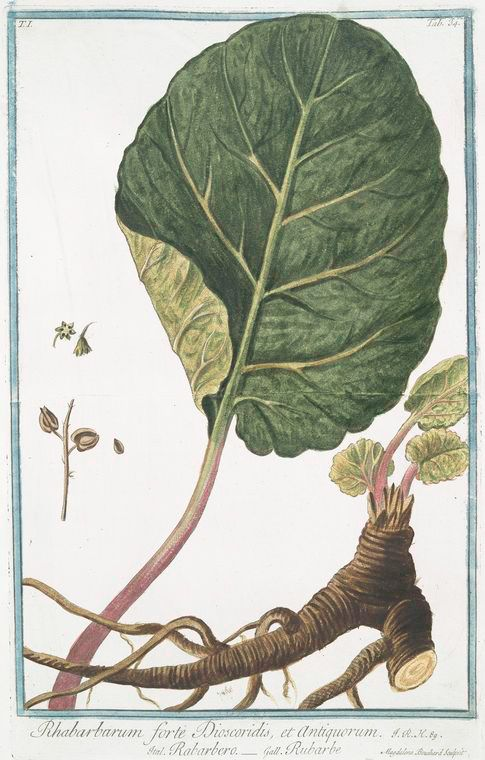 from when we wanted the root to poop