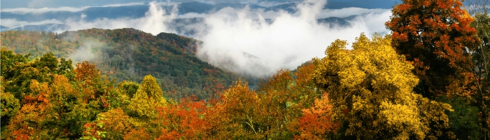 low clouds over rolling mountains with fall leaves