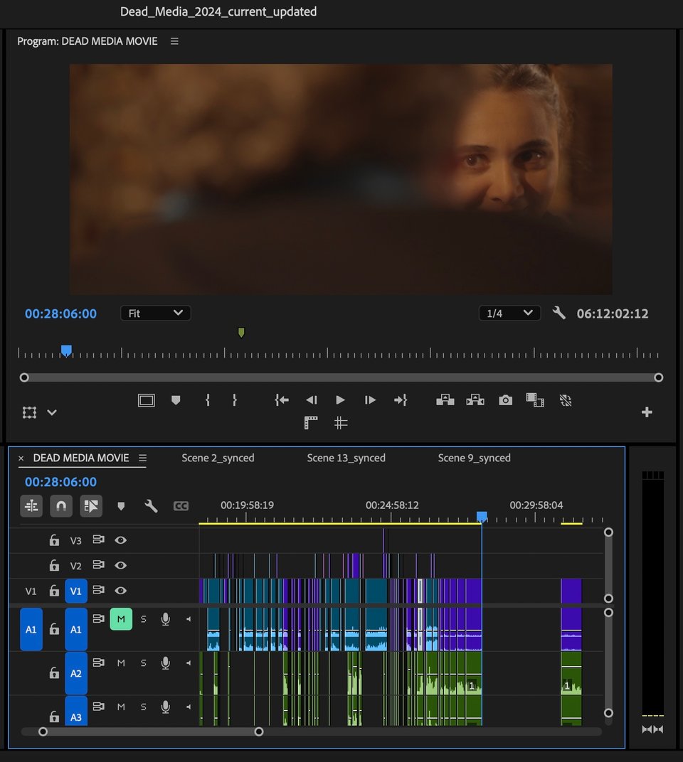 A screenshot of a film editing program. On the screen there's an image of a young woman peeking over the shoulder of a blurry man. On the timeline there are many files edited together
