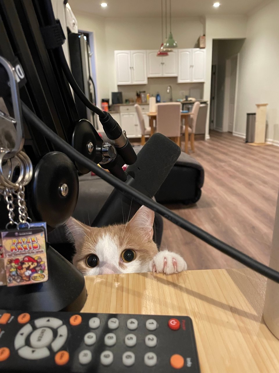 Timmy wants to play