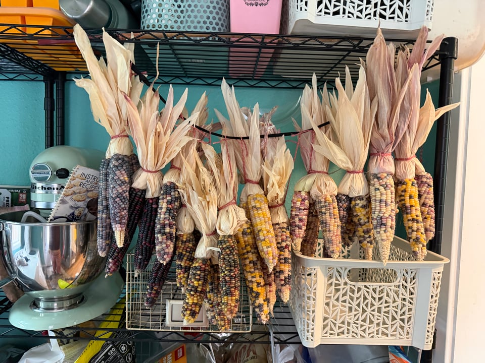 an open layout pantry with a line of small colorful corn hanging by it's leaf sheaths to dry.