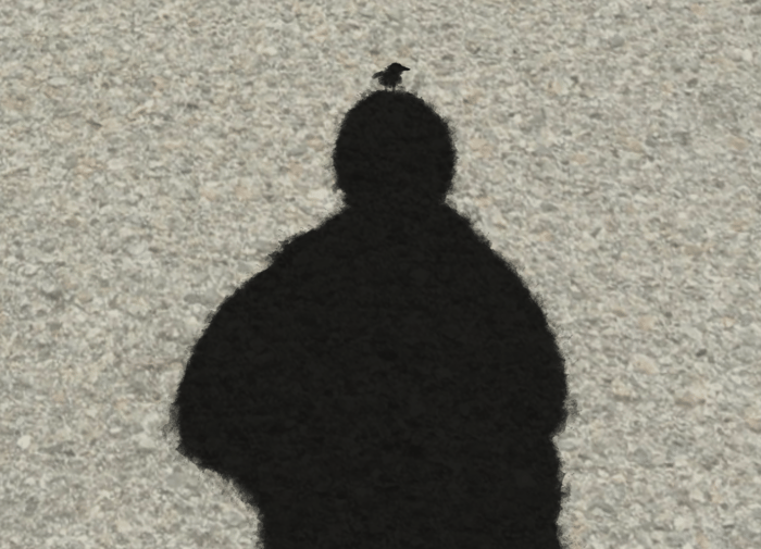 Bird_Shadow.png