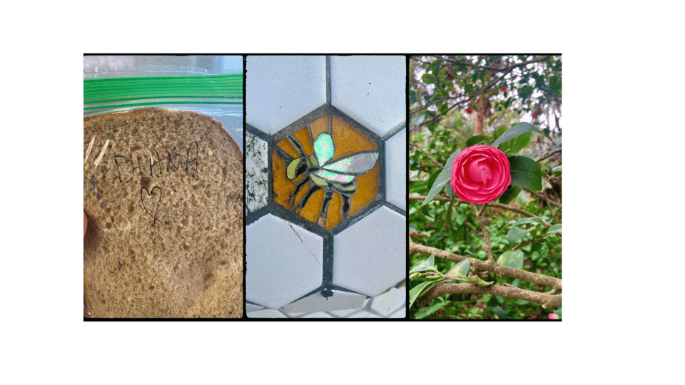 florilegia #3.5: february album