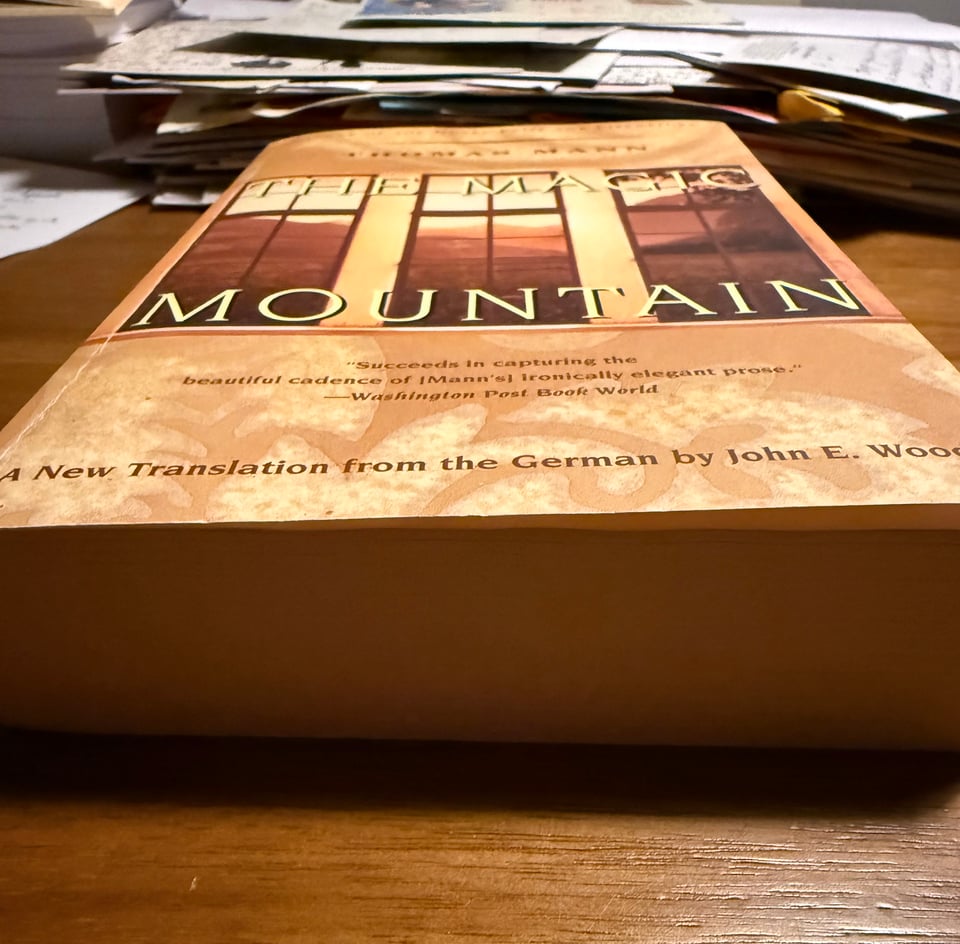 Photo of the novel THE MAGIC MOUNTAIN by Thomas Mann, tr. John E. Woods