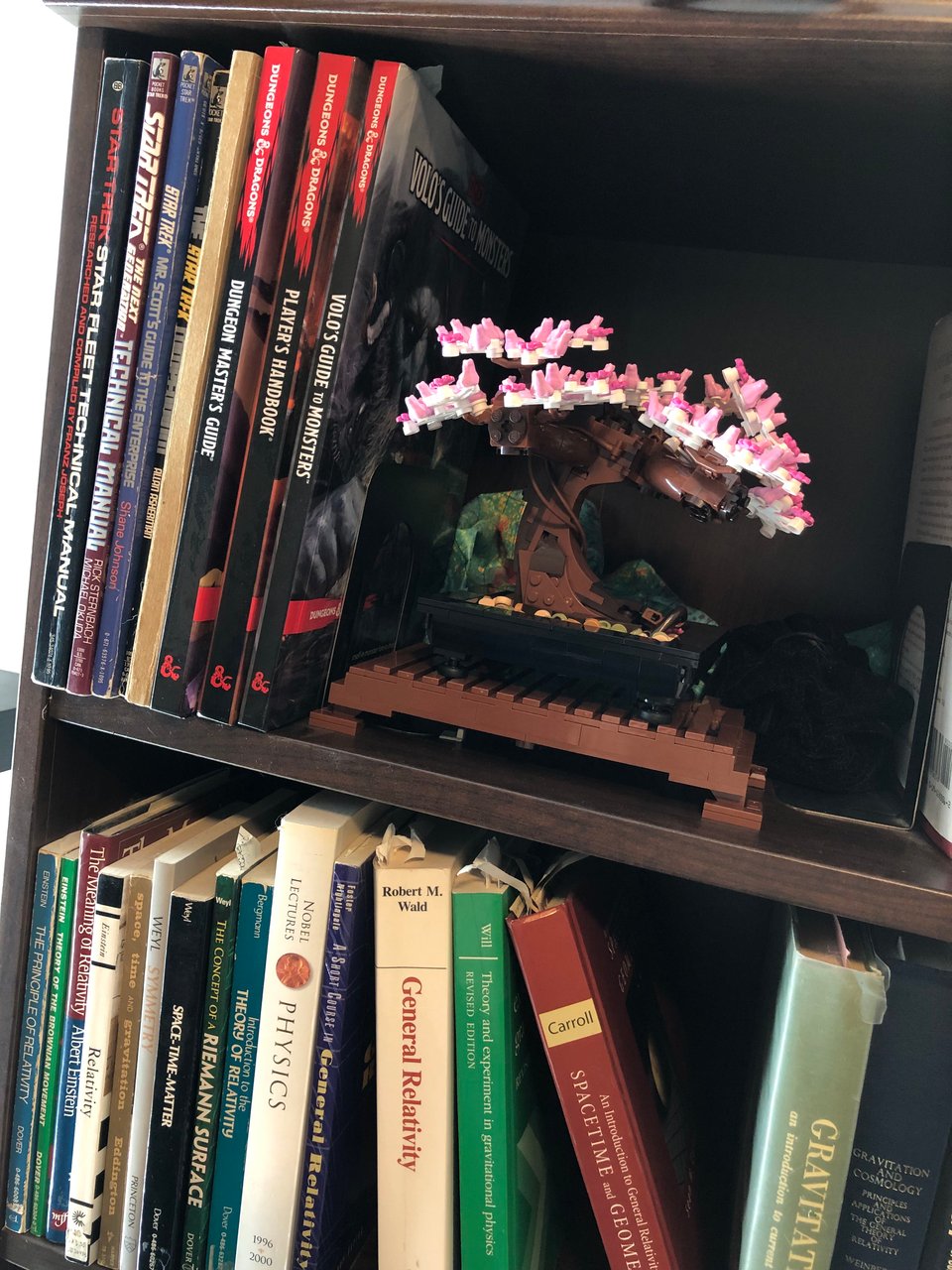 photo of part of my office bookshelf, showing a row of books about relativity. The shelf above contains a LEGO bonsai tree kit, along with several Star Trek technical manuals and rulebooks for Dungeons & Dragons