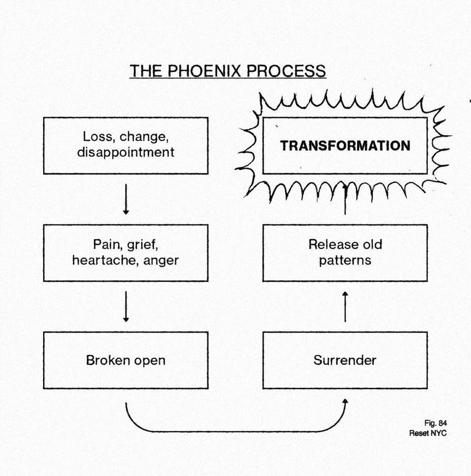a diagram that shows the phoenix process. first is loss, change, disappointment. then down to pain, frief, heartache, anger. followed by broken open. the next stage is surrender, then release of old patterns and finally transformation.