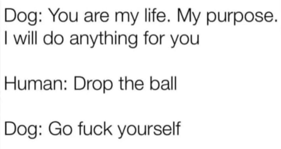 Text post - Dog: You are my life. My purpose. I will do anything for you. Human: Drop the ball. Dog: Go fuck yourself.