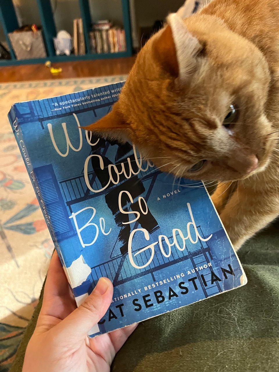 A white person's hand holds the paperback edition of We Could Be So Good by Cat Sebastian, while an orange tabby cat rubs his head against the book.