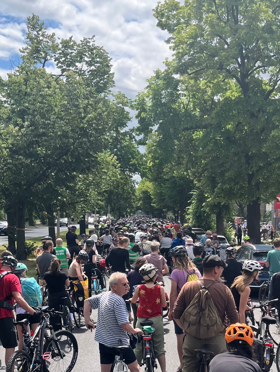 A tree-lined avenue filled edge to edge with cyclists