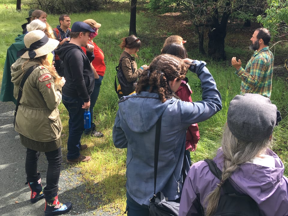 Explorers following their forager guide