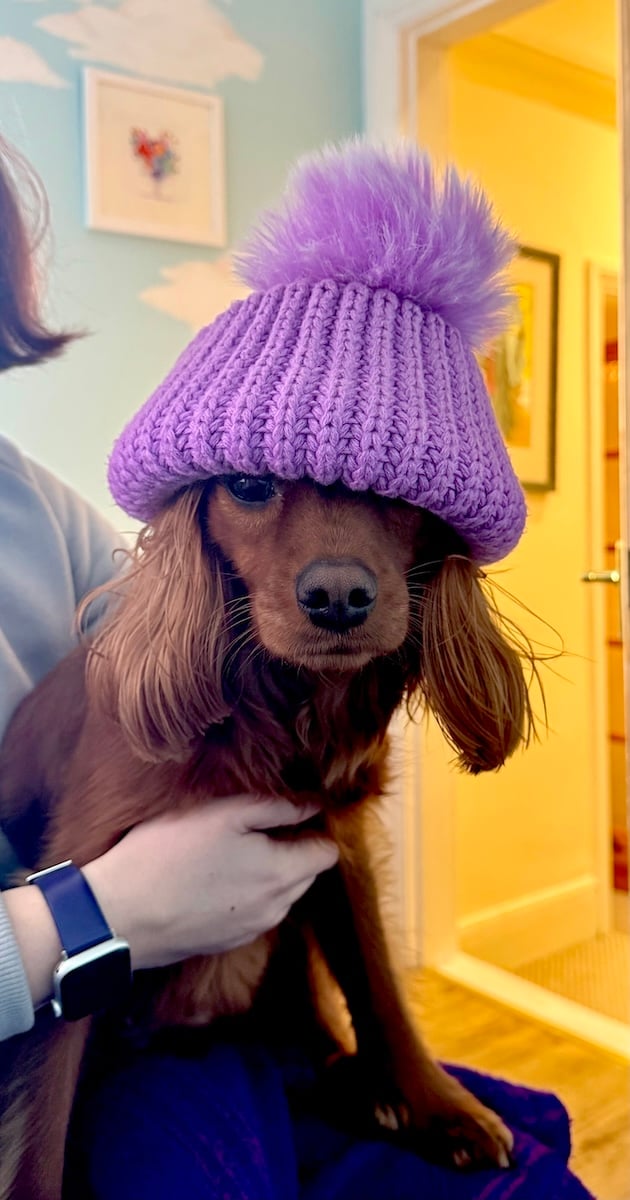 Radio in a bobble hat.