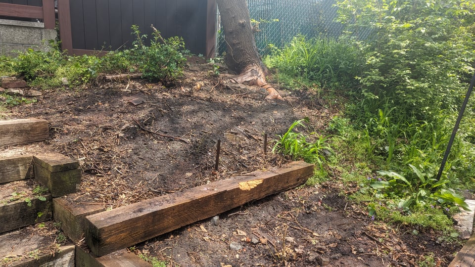 a picture of a bare patch of dirt. Wet dirt, I suppose.