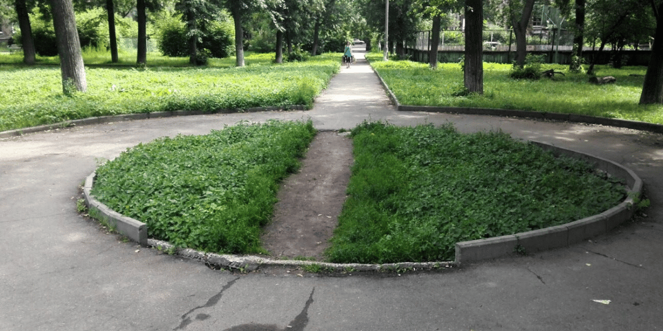 A desire path - a trampled line of dirt across some grass.