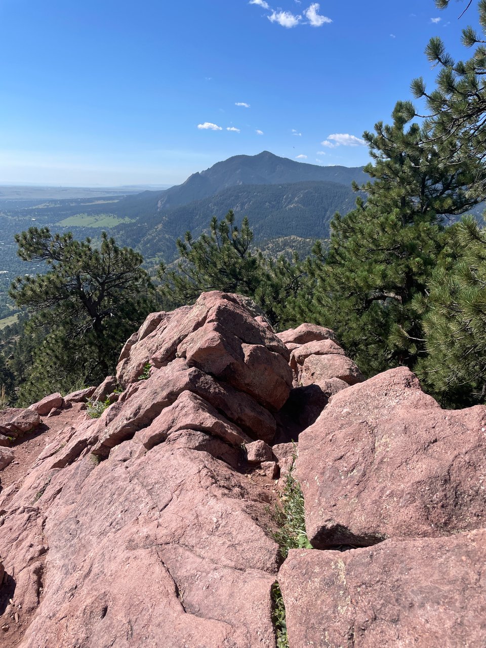 Sharing Inkcap Success Stories