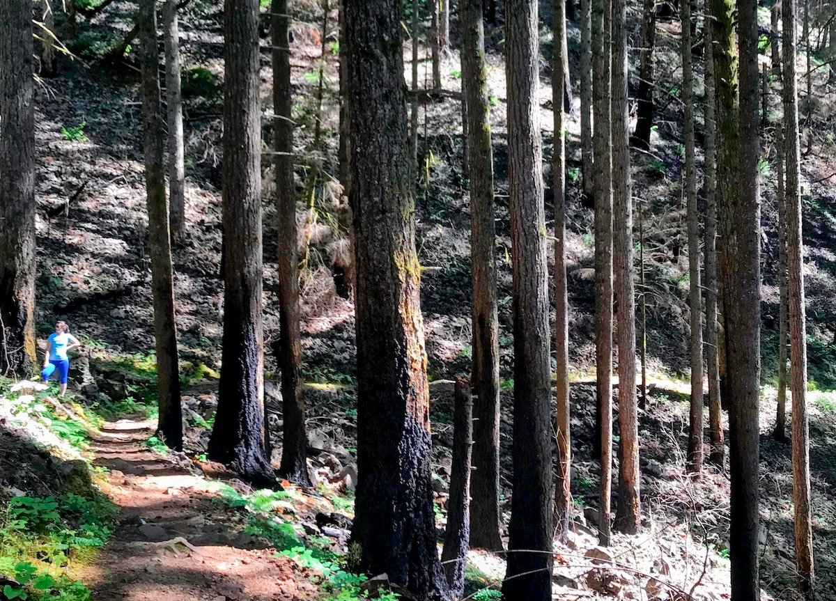 Forever on Our Mind: Tell Me It's Going to Be Okay