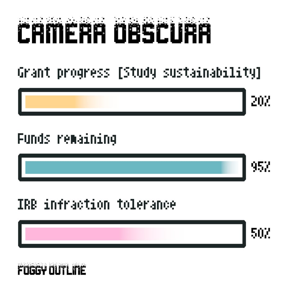 Camera Obscura from Foggy Outline. Grant progress or study sustainability twenty percent. Funds remaining 95 percent. IRB infraction tolerance fifty percent.