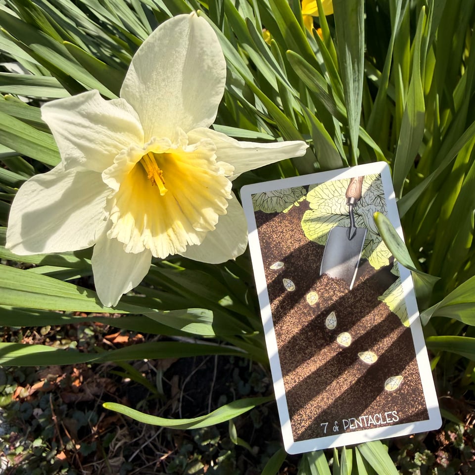 From the Wayhome Tarot, by Bakara Wintner and Autumn Whitehurst