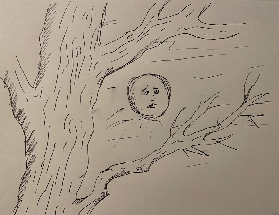 A sketch of the moon between tree branches. The moon is pensive.