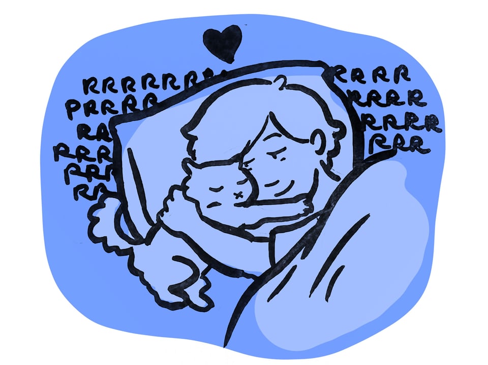 The tiny kitten resumes purring and snuggles into Sarah's arms