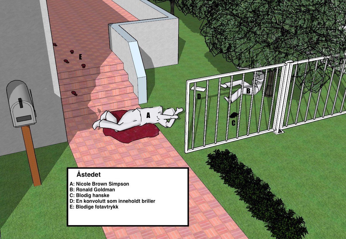 Police Representation of the crime scene.A. Nicole Brown SimpsonB. Ron GoldmanC. XL Bloomingdales Aris bloodied left hand gloveD. Spectacles in envelopeE. Size 12 Bruno Magli Lorenzo bloodied footprin