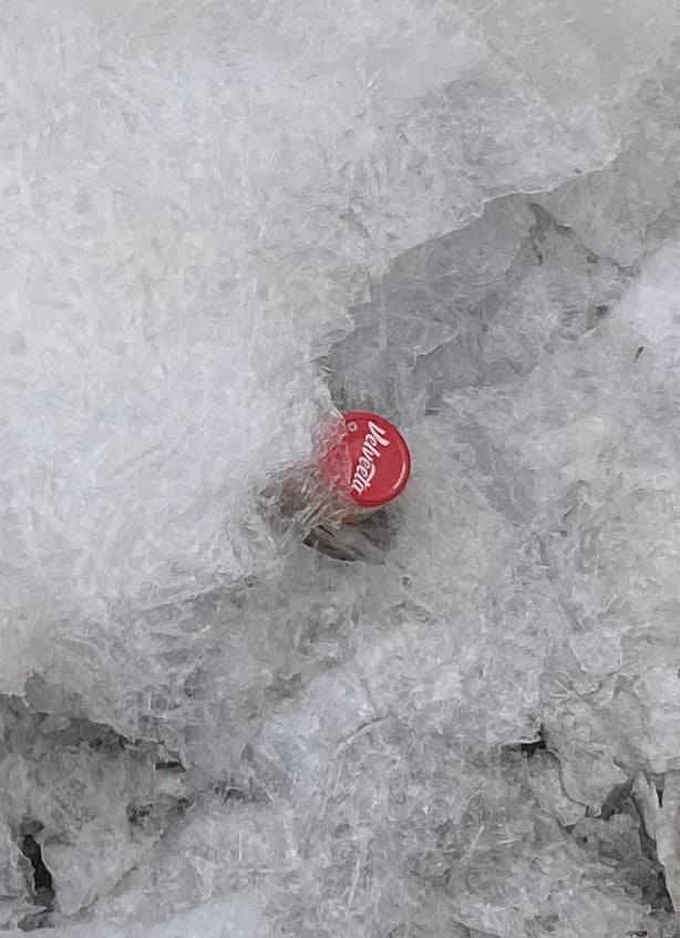 velveeta in the ice closer