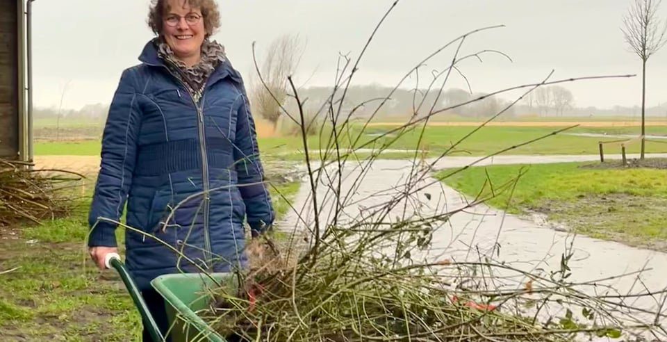 Uitdeeldag Meer Bomen Nu