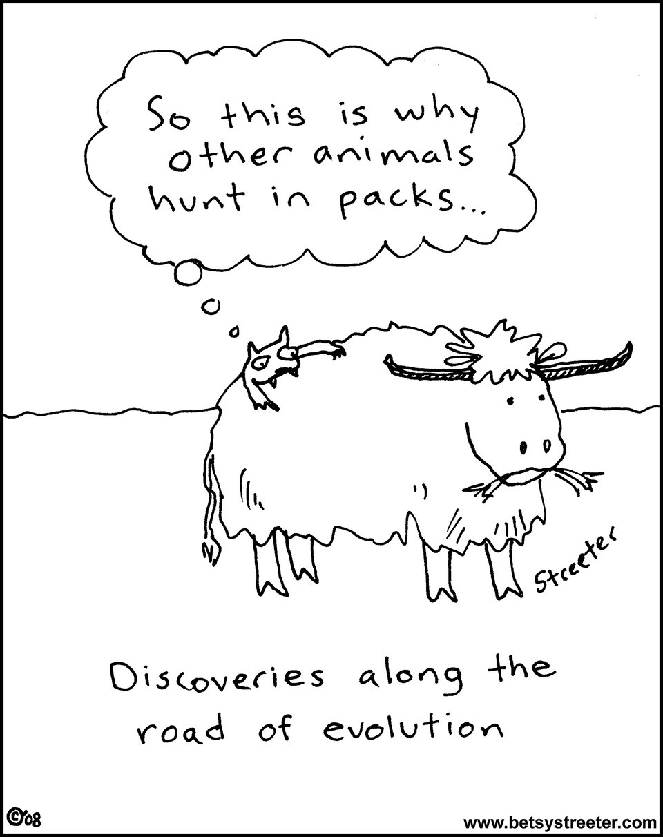 Cartoon of a cat failing to take down a bison and realizing this is a reason to hunt in packs