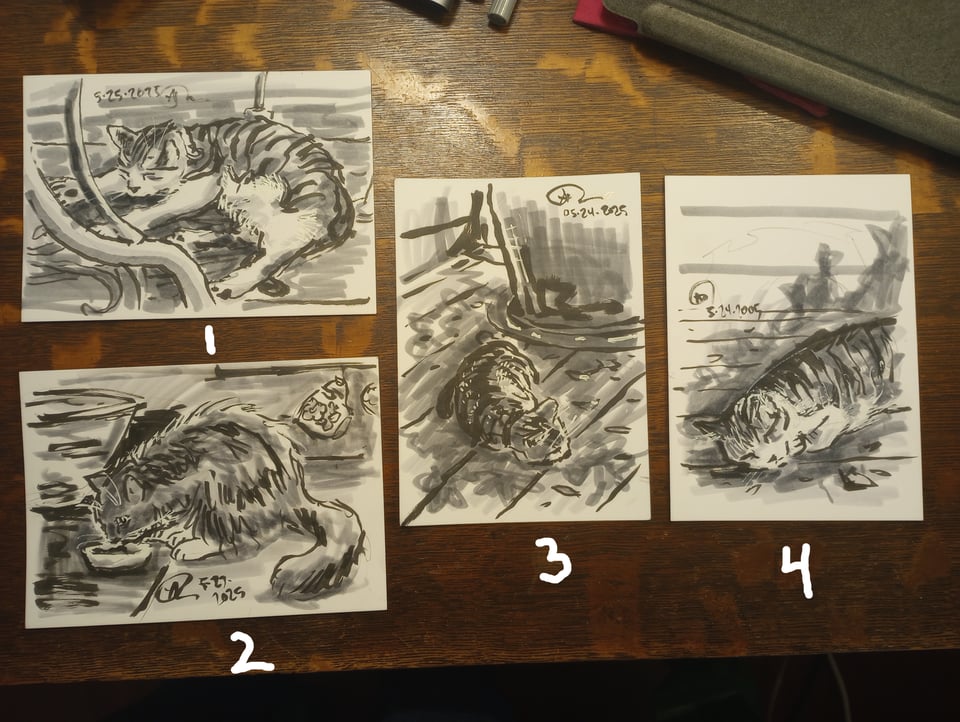 Four drawings of a couple of my cats!