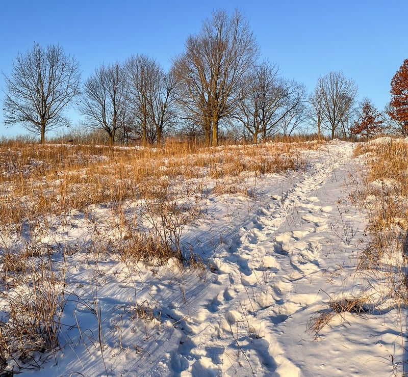 There’s more than one way to go dashing through the snow. When it’s not too deep, you can just walk the trails as always. Of course, we hope this winter will bring lots and lots of snow, which will make for great cross-country skiing and snowshoeing in the park. / Photo by Amy Jay