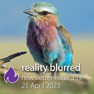 a bird with multi-colored feathers; the words "reality blurred newsletter issue 333, 21 April 2023"