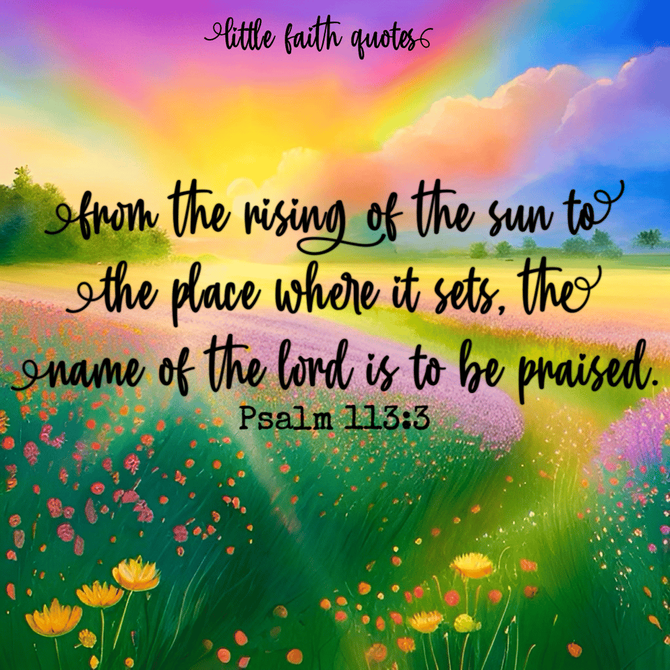 "From the rising of the sun to the place where it sets, the name of The LORD is to be praised." ~Psalm 113:3. A meadow of pink and yellow flowers stretches as far as the eye can see. The sun sets in a pink, orange, blue, and green sky. Image by: @Little Faith Quotes.