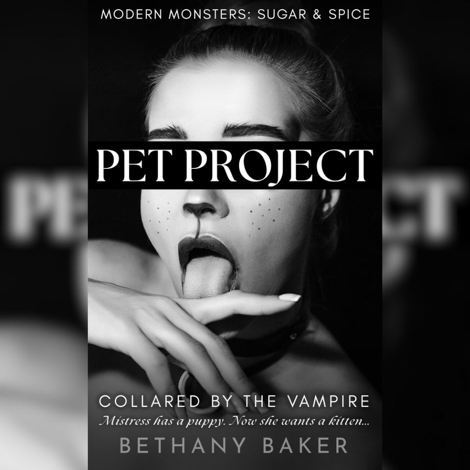 A close-up of the cover image, which is the same as described in the cover reveal graphic.