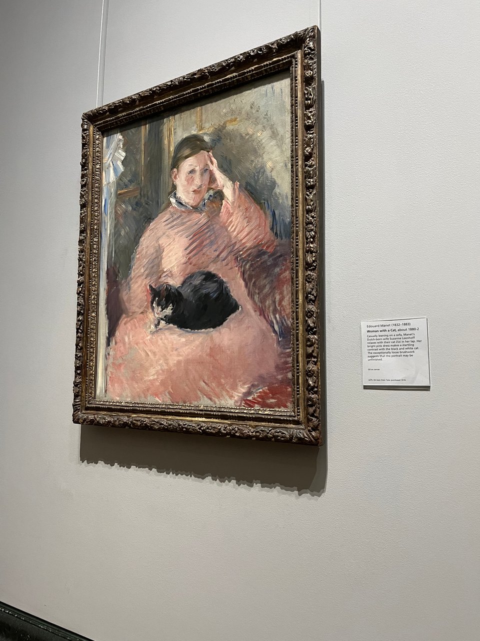 Image of a painting in a museum. The painting is by Manet, and shows a woman in a pink dress with a black-and-white cat on her lap.