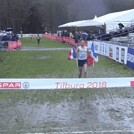 finish_line.webp