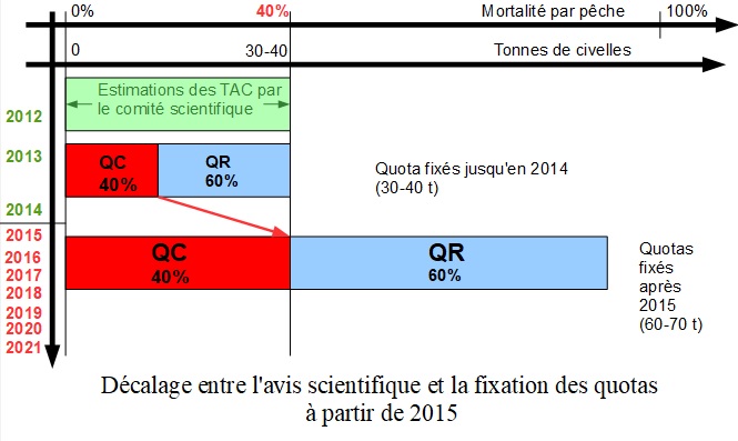 Depuis 2015, les quotas de civelles ont été multipliés par 2,5 au prétexte que la pêche de repeuplement n'induirait aucune mortalité. Cette dernière affirmation est fausse.