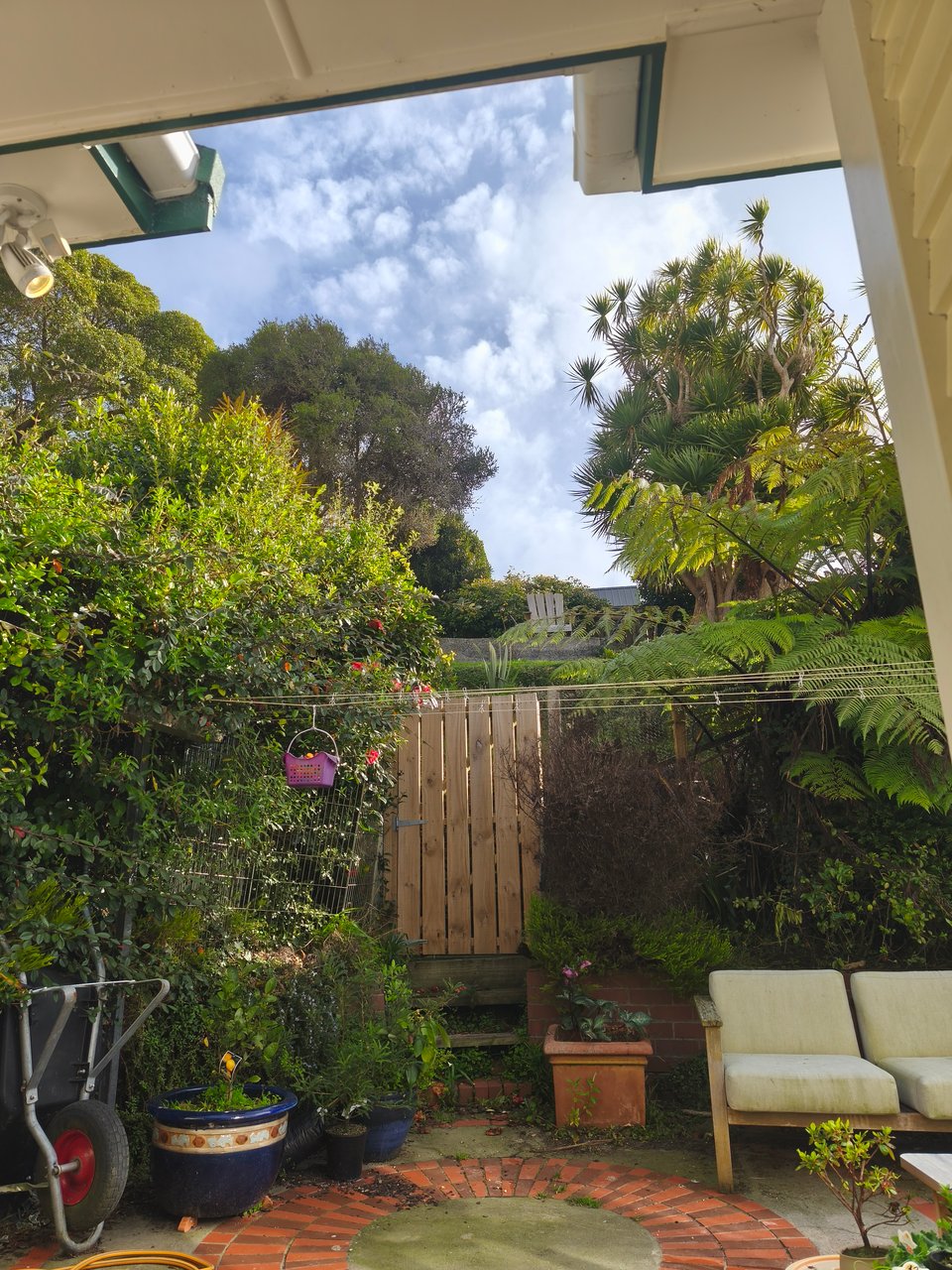 green view up a hill to an admittedly stunning Adirondack chair (made by the author!) and blue sky with puffy clouds
