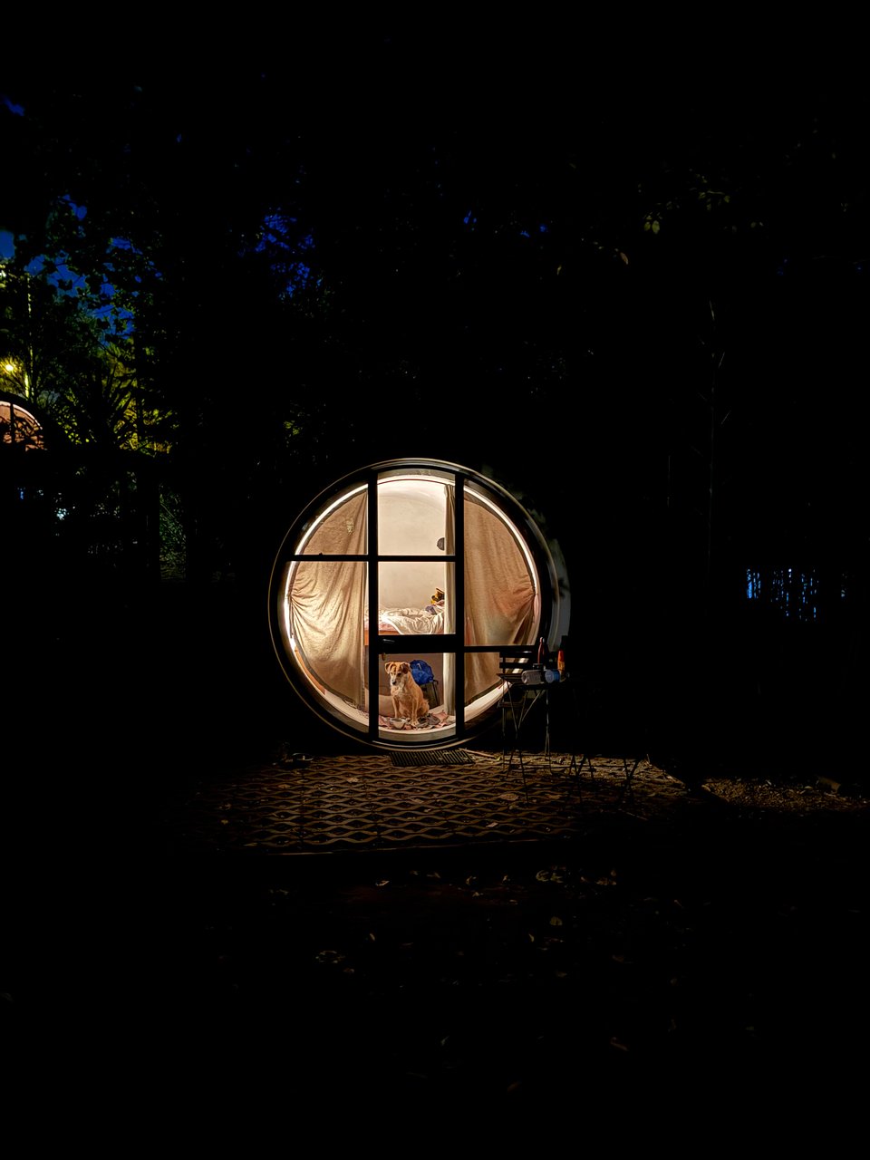 Round lodge at night — illuminated circular cabin with a dog inside, surrounded by darkness.