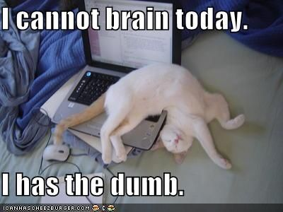 Old meme. Cat passed out on open laptop. Text reads: I cannot brain today. I has the dumb.