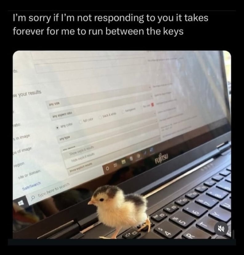 A photo of a tiny baby chick running across a laptop keybord. Text reads: I'm sorry if I'm not responding to you it takes forever for me to run between the keys"