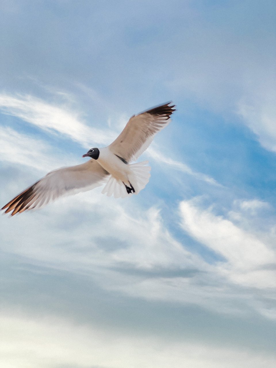 Hiro.Report - 16JUL2023