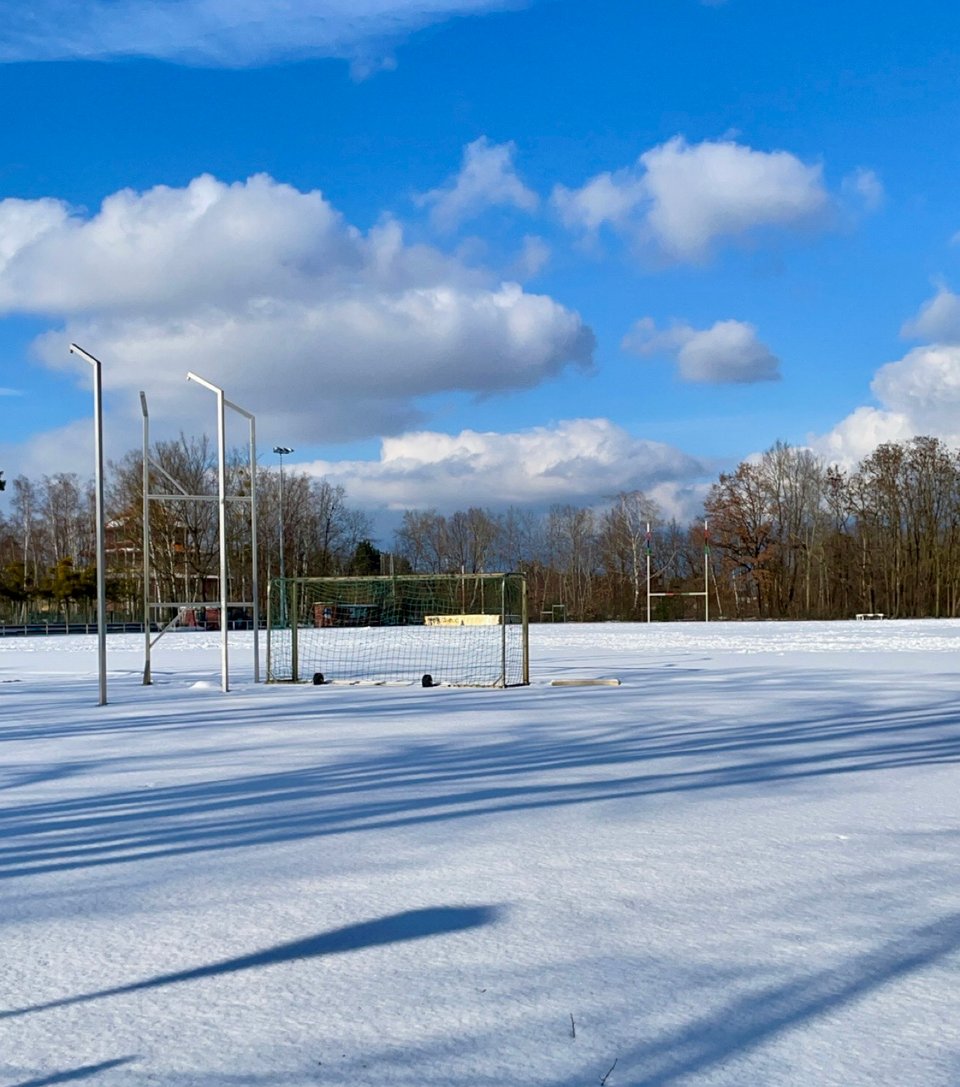 A sports field covered with snow with a horizontal tree-line in the background. There is a football net in the middle of the snow covered field, with some poles nearby. The front of the picture has some shadows of trees and a stadium lamp casting a contrasting shadow on to the white snow