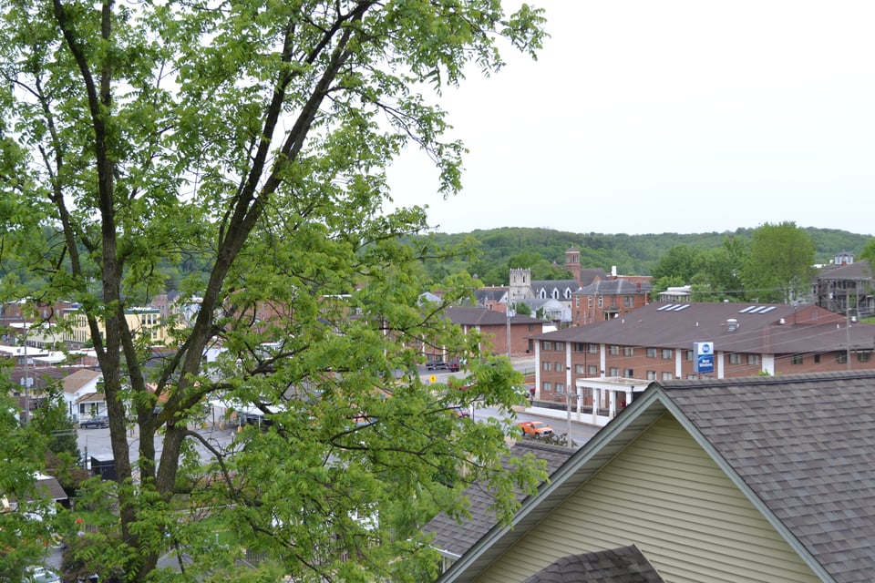 A view of a town from above, with lots of slate and tile roofs and brick buildings. Forest beyond.