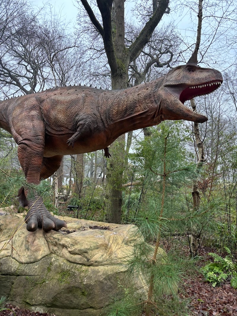 Large model of a dinosaur in a park; it's a big roary one, looks pretty cross, loads of teeth, but its arms are NUBBINS, they barely exist