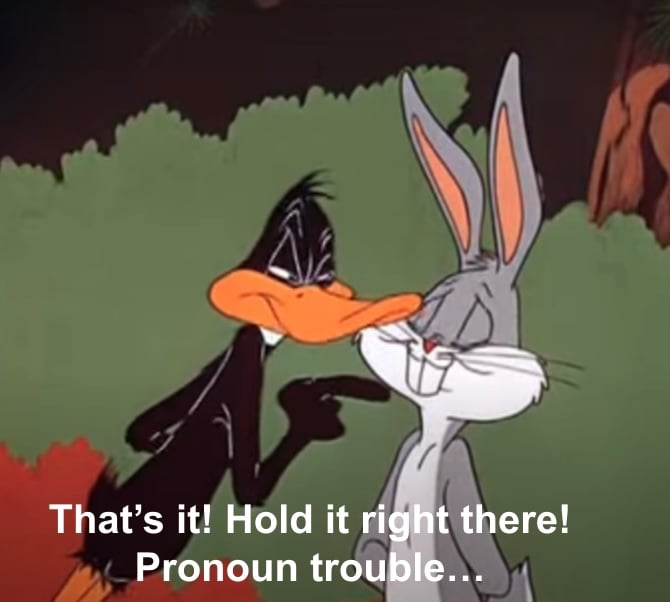 Daffy Duck pointing at Bugs Bunny, saying "That's it! Hold it right there!
Pronoun trouble..."