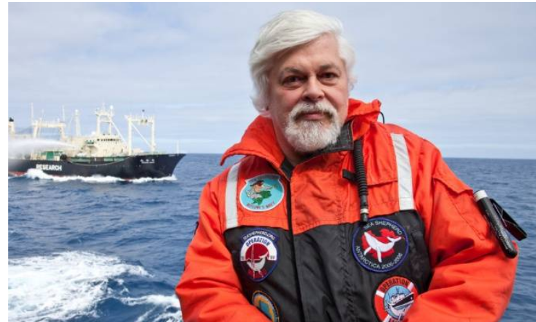 Il faut sortir Paul WATSON des griffes des gouvernements danois et japonais.