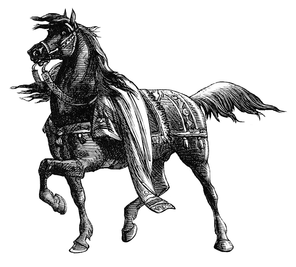 A horse with blankets on its back