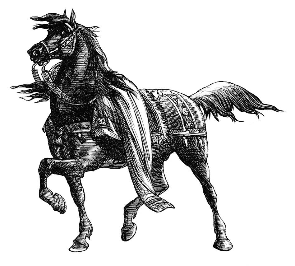 A horse with blankets on its back