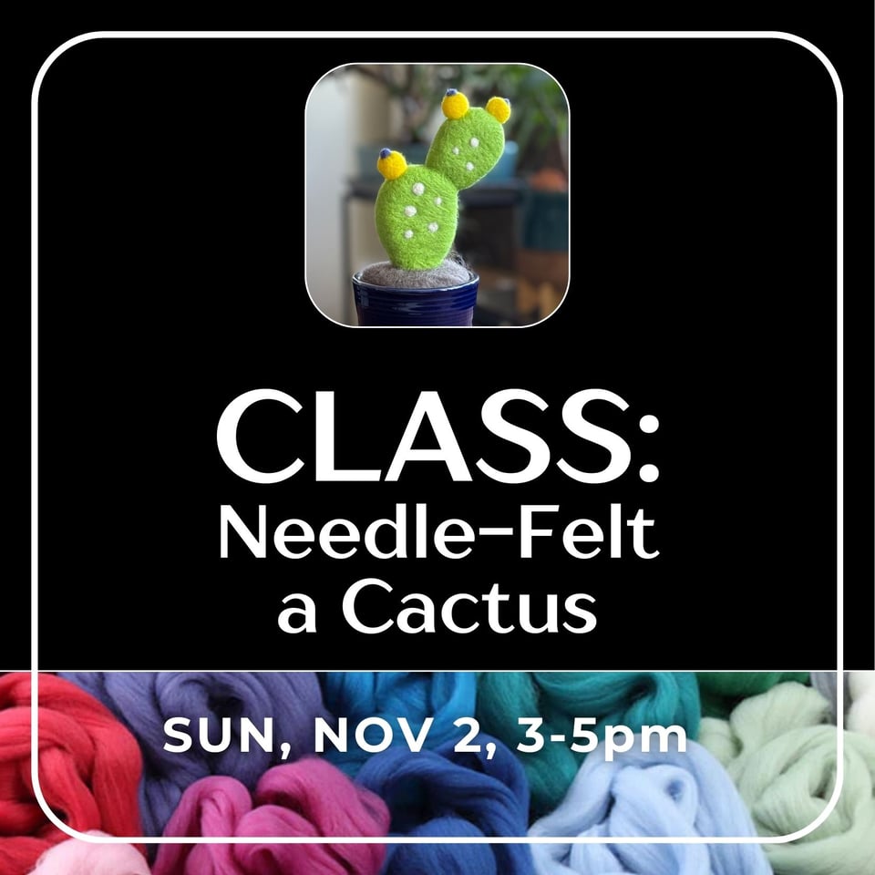 Class: Needle-felt a cactus