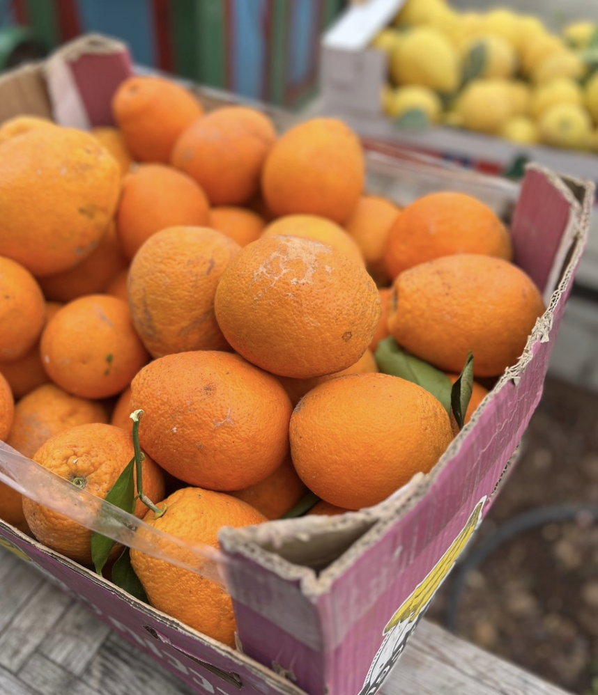 A photograph of a big box of oranges, with a box of lemons in the background