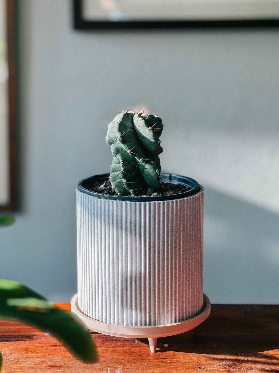 Hiro.Report - 25FEB2024